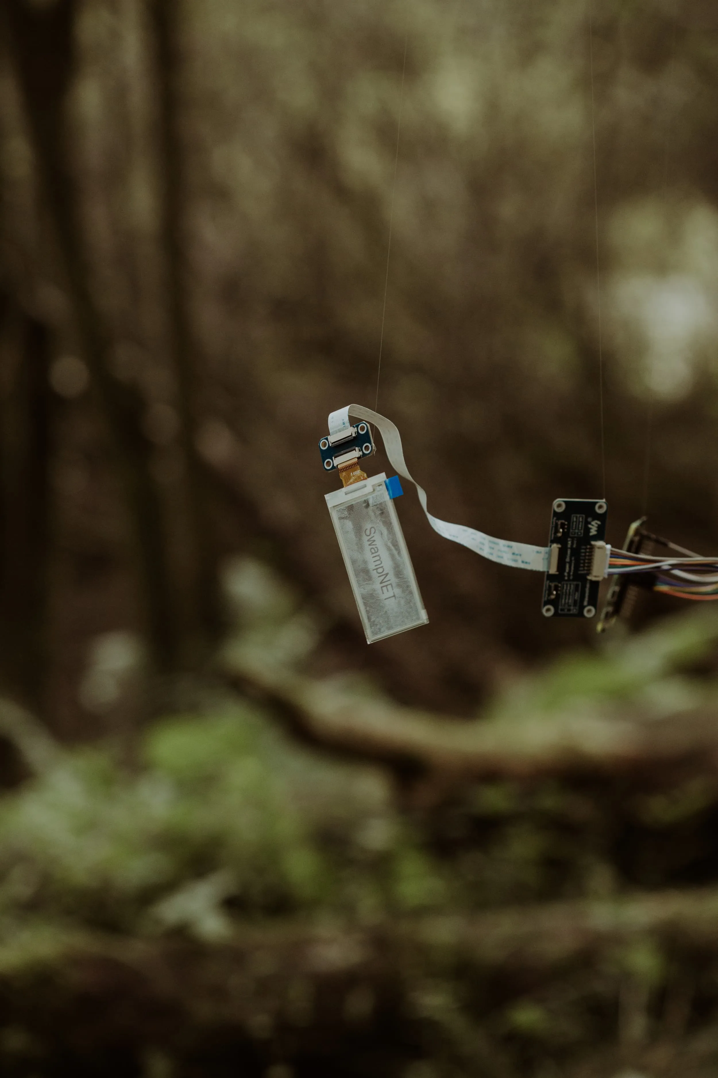 e ink display and parts of raspberry pi hang in mid air via invisible string in front of a blurred background of the swamp