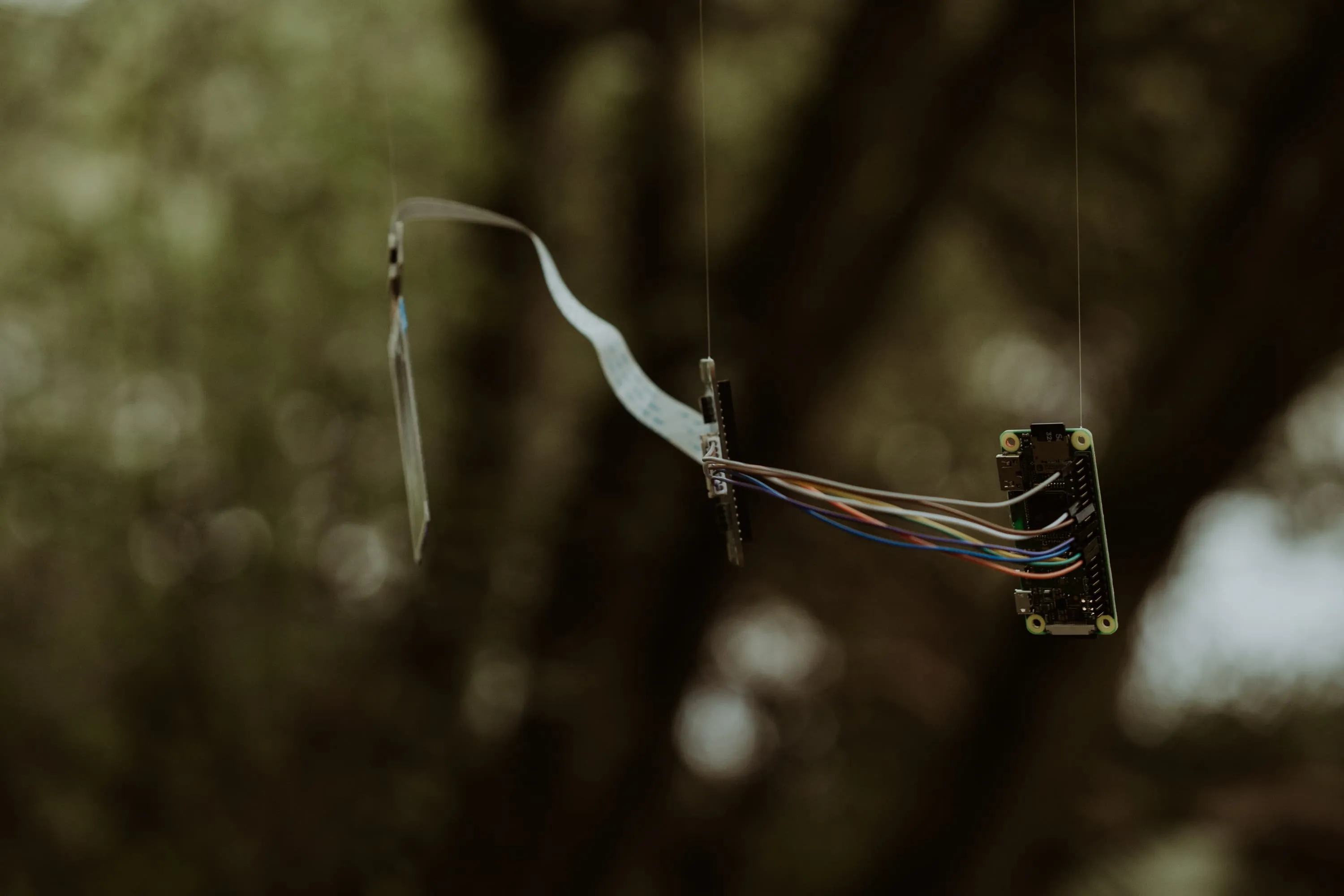 The three parts of a SwampNET hang in mid air held by invisible string against a blurred background of the swmap