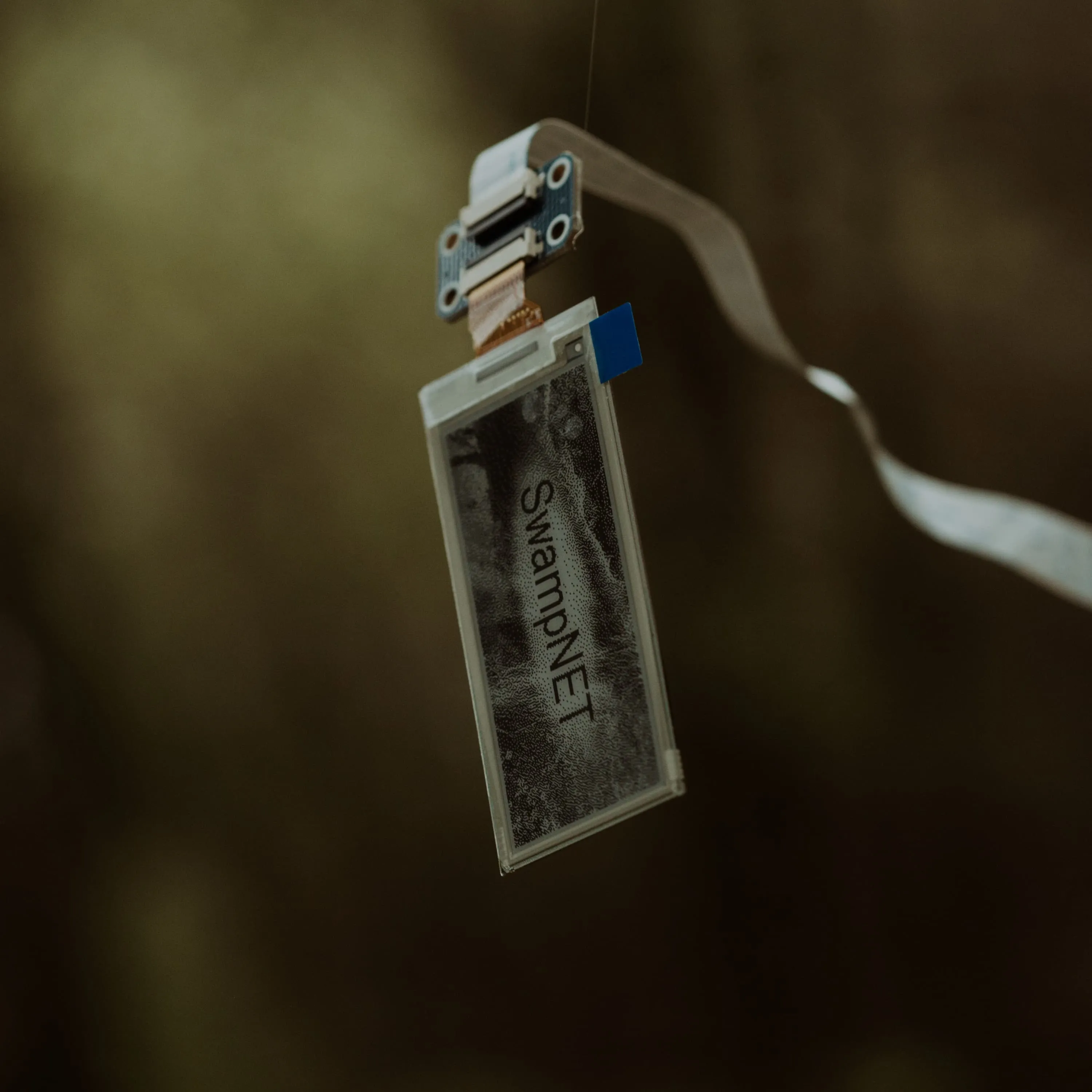 E Ink display shows the words SwampNET hanging in mid-air via invisible string against a blurry green backdrop of the swamp
