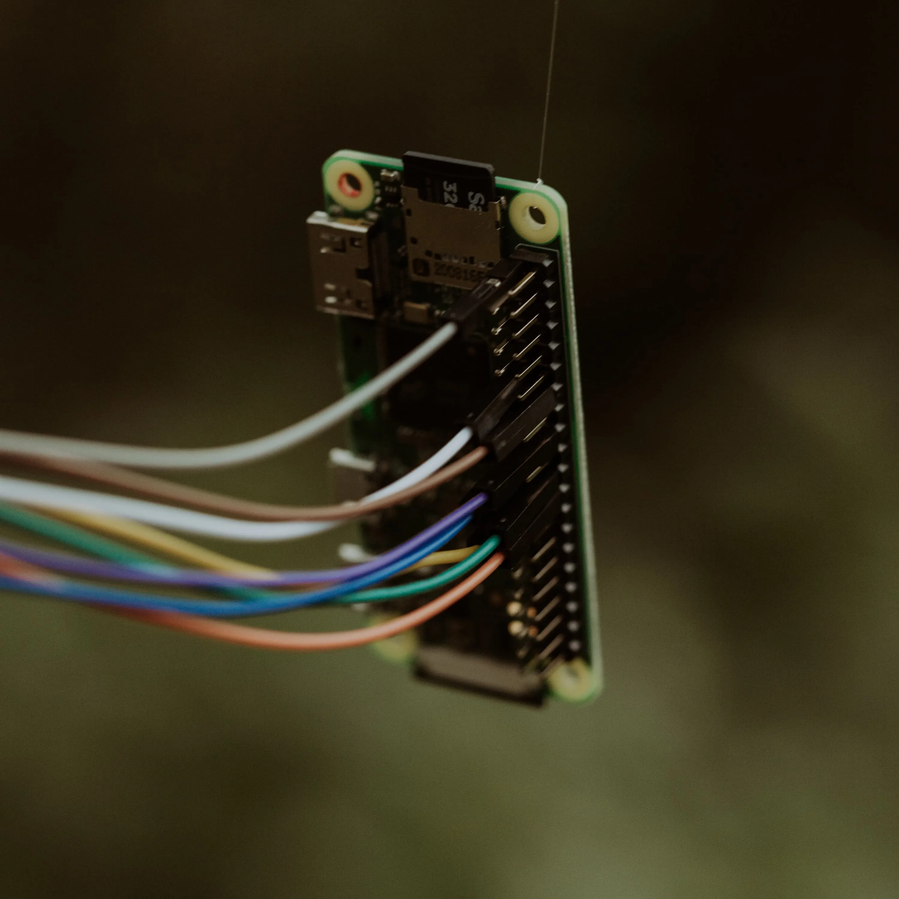 close up shot of one part of the SwampNET, a raspberry pi zero has wires attached to it.