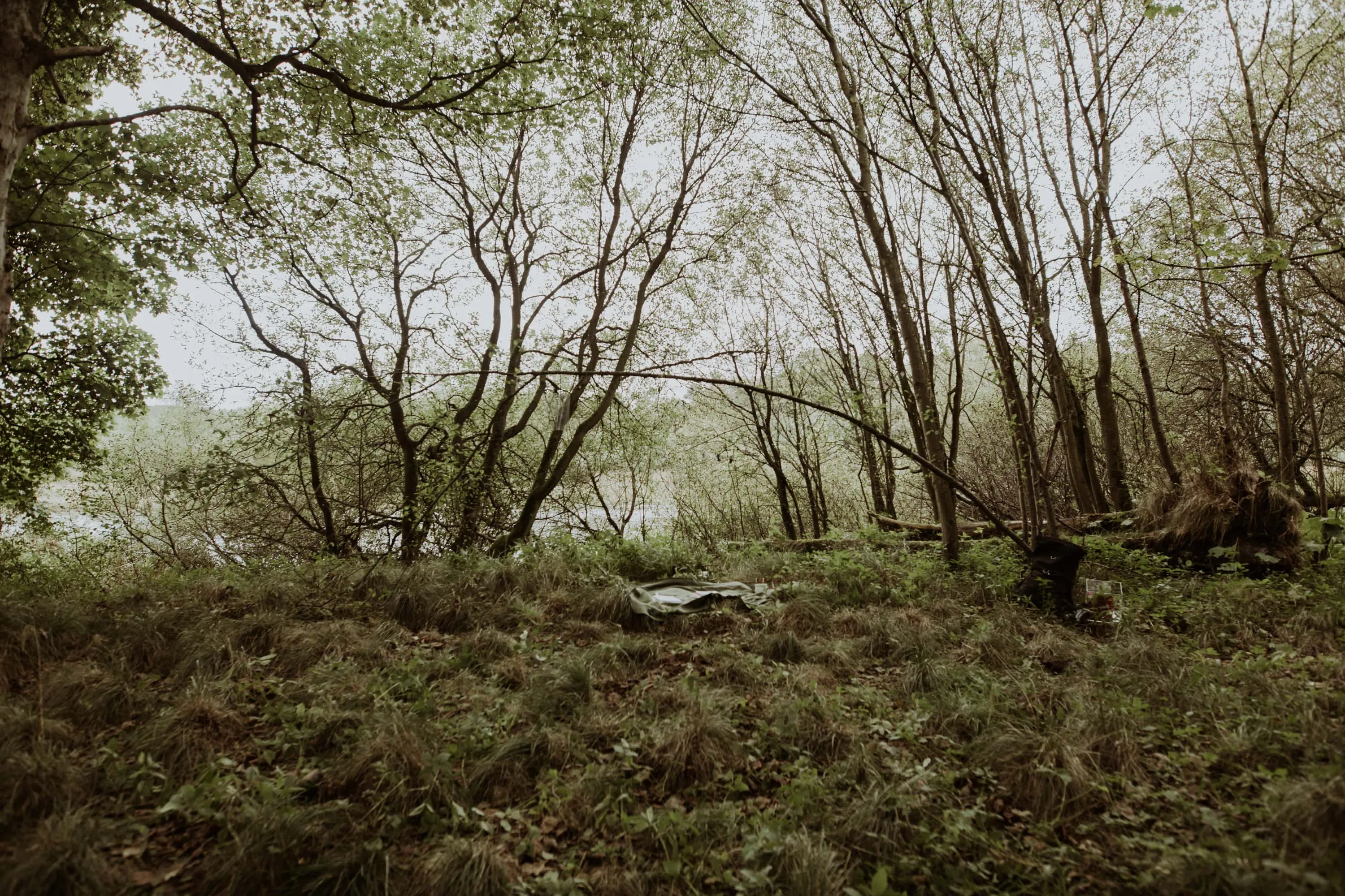 wide shot of installation of SwampNET in the swamp.