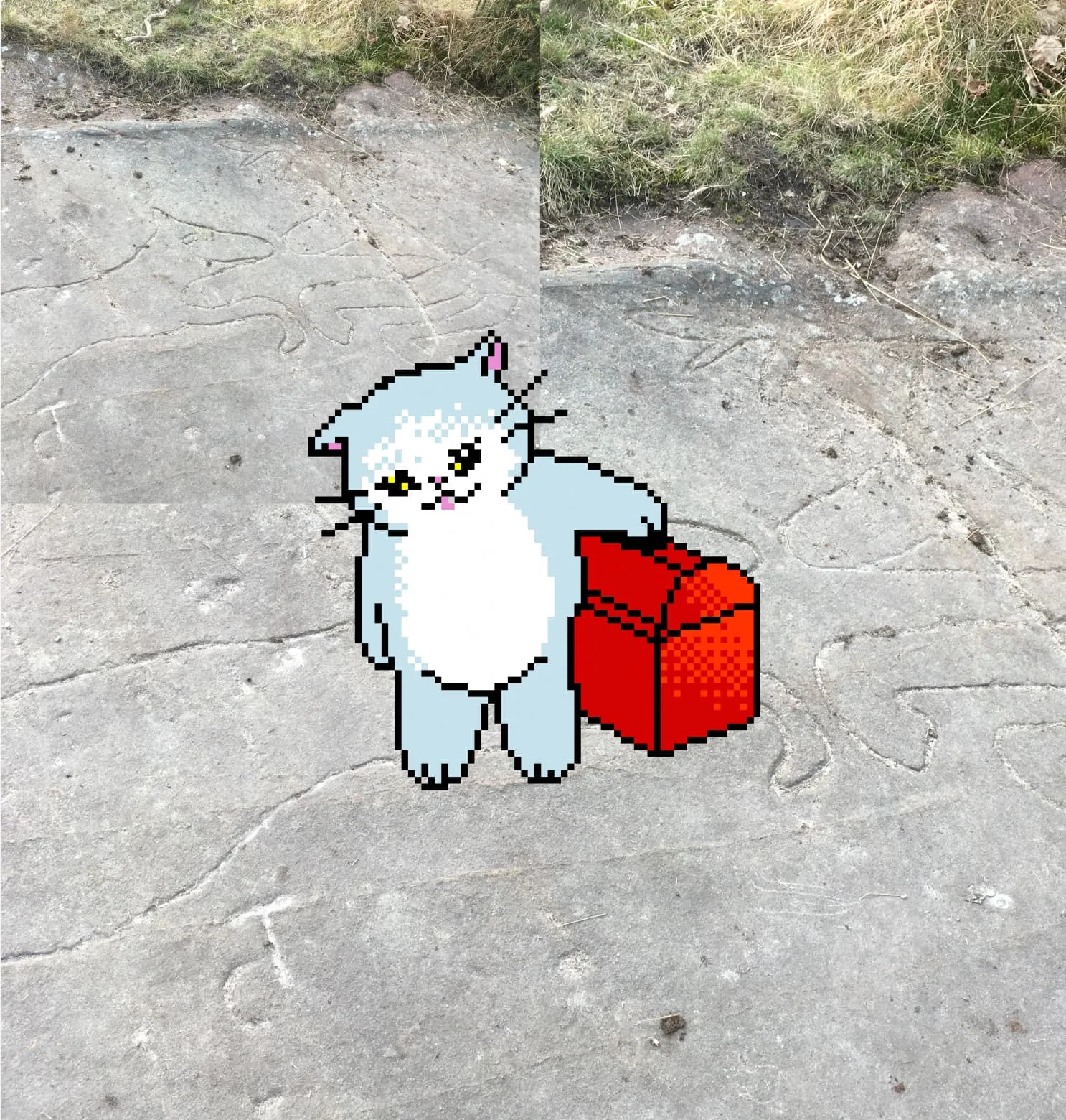 Toolkitty app interface showing a collective coordination dashboard